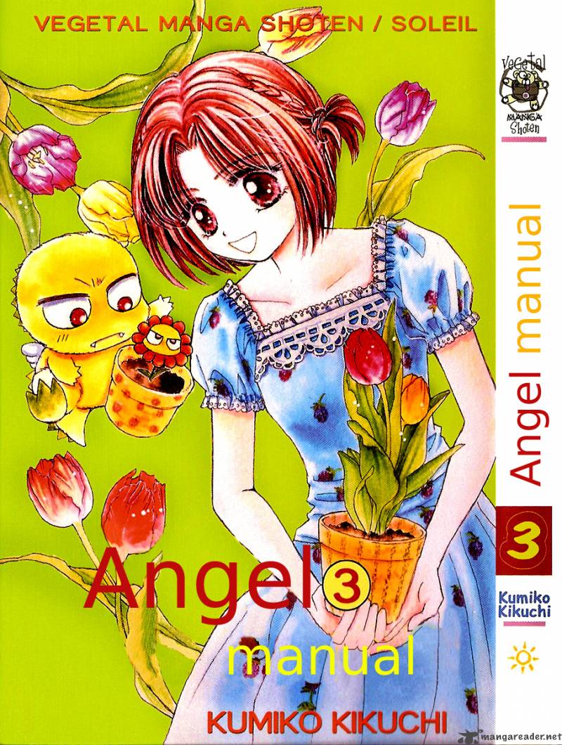 angel_manual_10_3