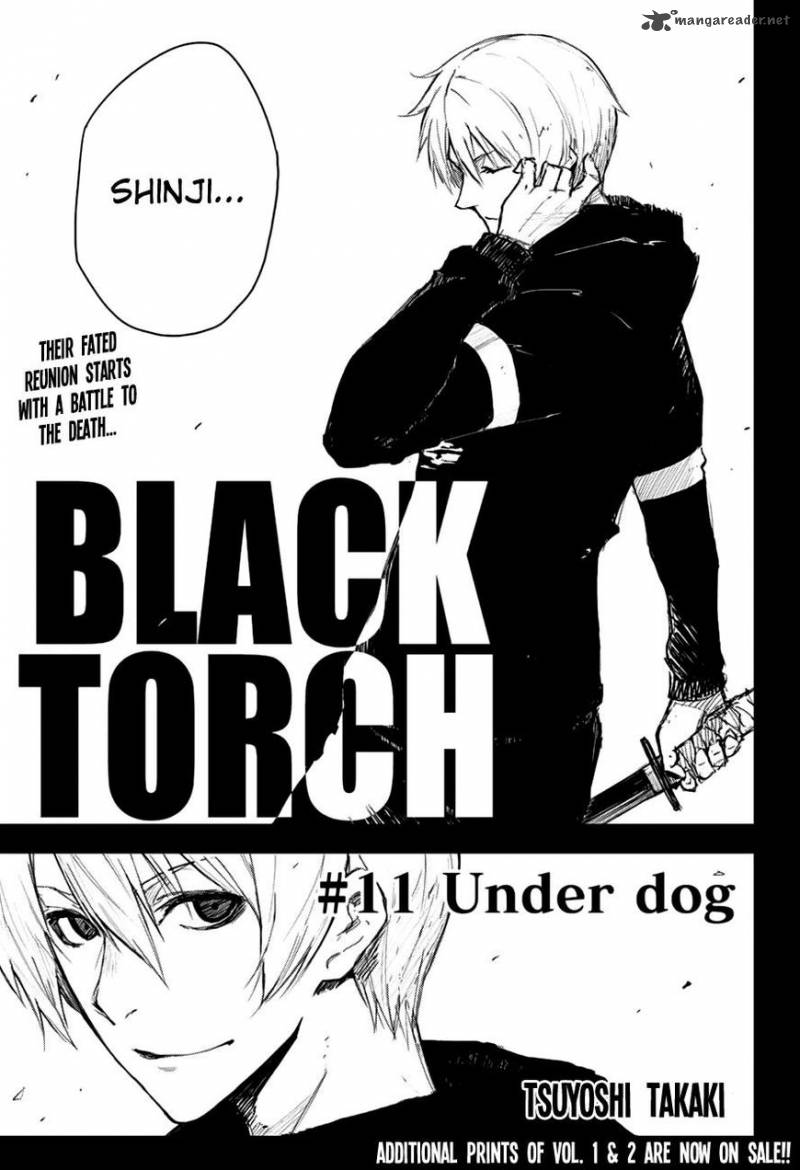 black_torch_11_6