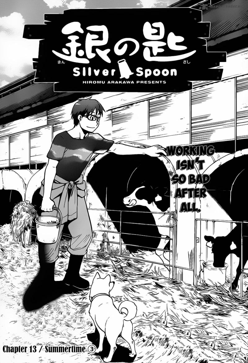 silver_spoon_13_2