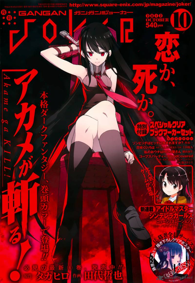 akame_ga_kiru_30_1