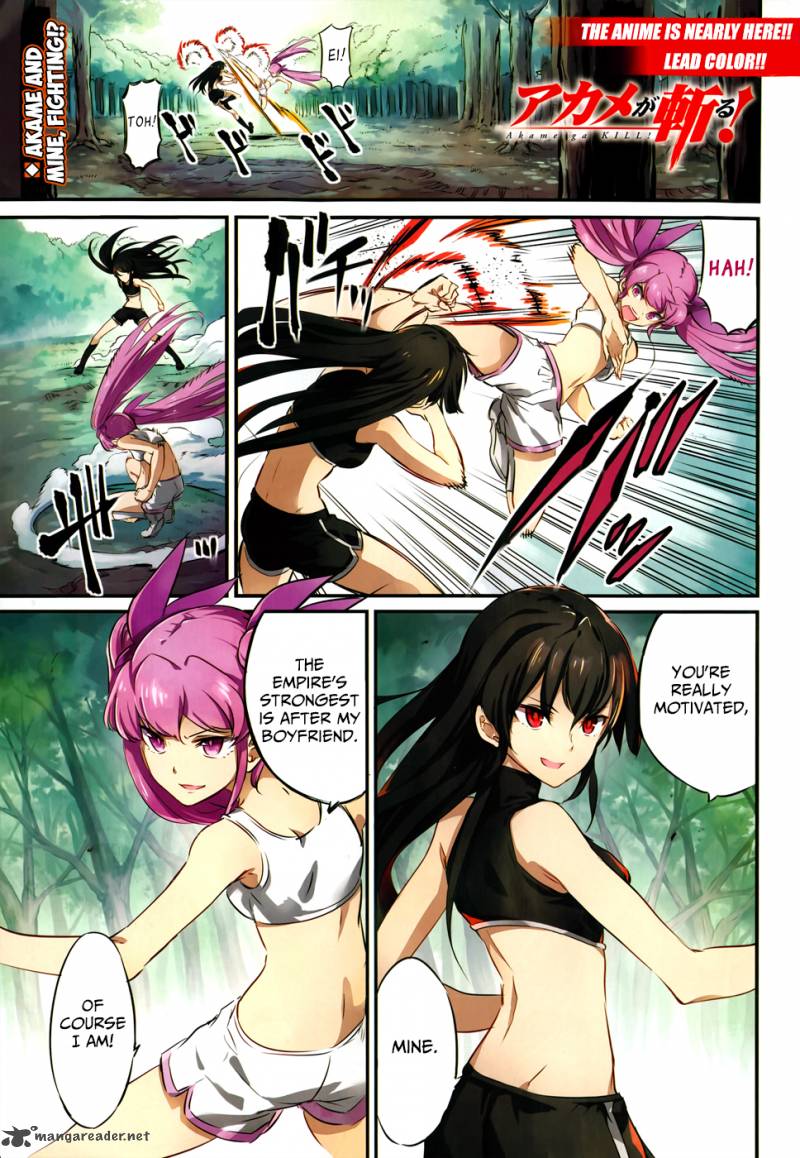 akame_ga_kiru_50_3