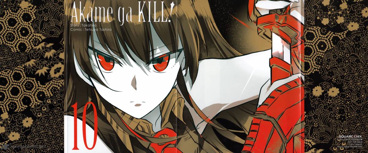 akame_ga_kiru_50_50