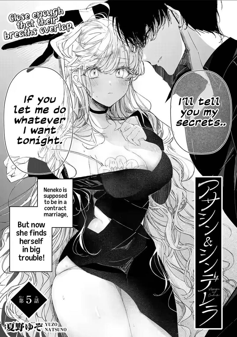 assassin_cinderella_5_1