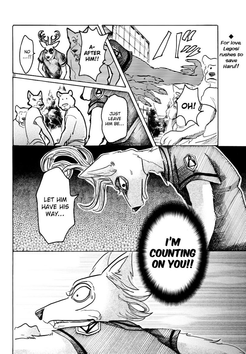 beastars_36_19