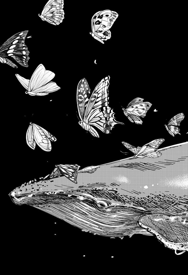 beat_motion_1_51