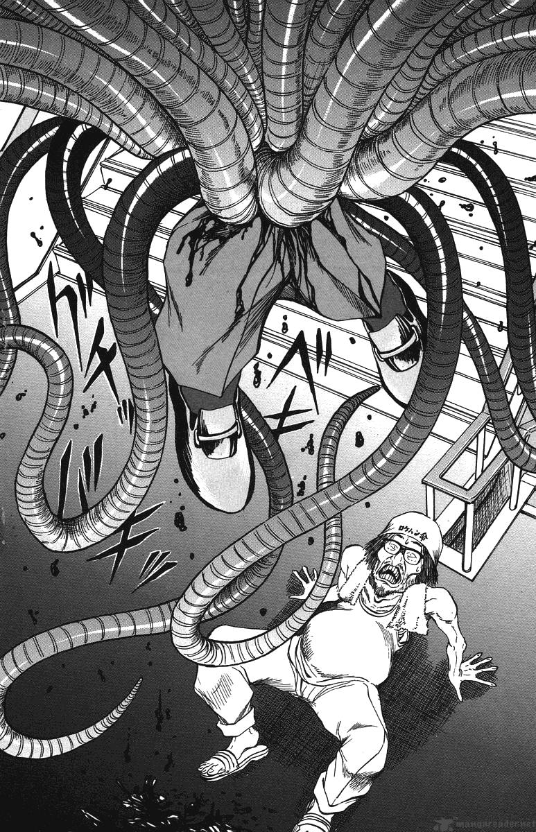 bio_meat_4_46