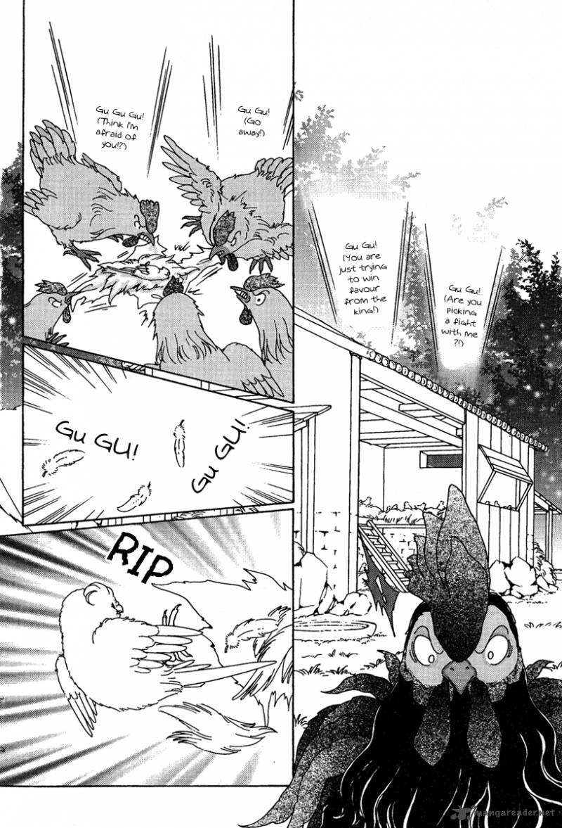 bird_of_youth_6_14