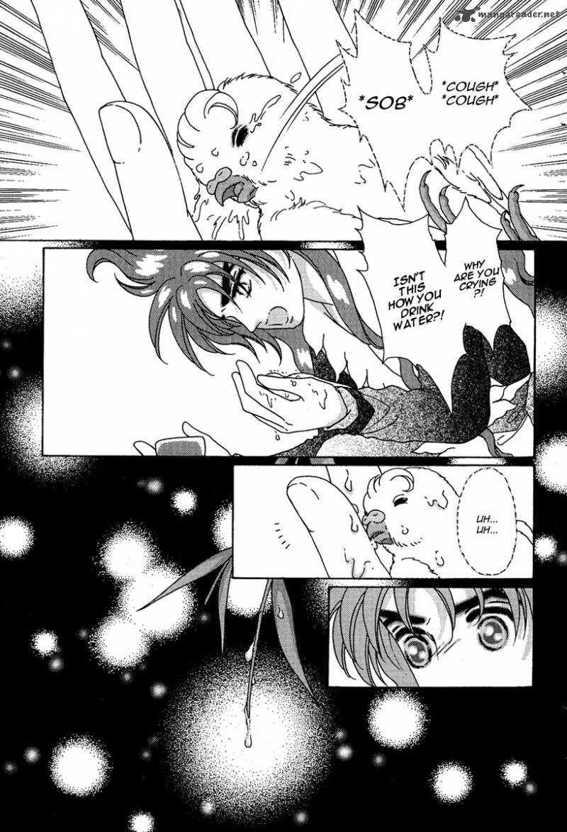 bird_of_youth_6_17