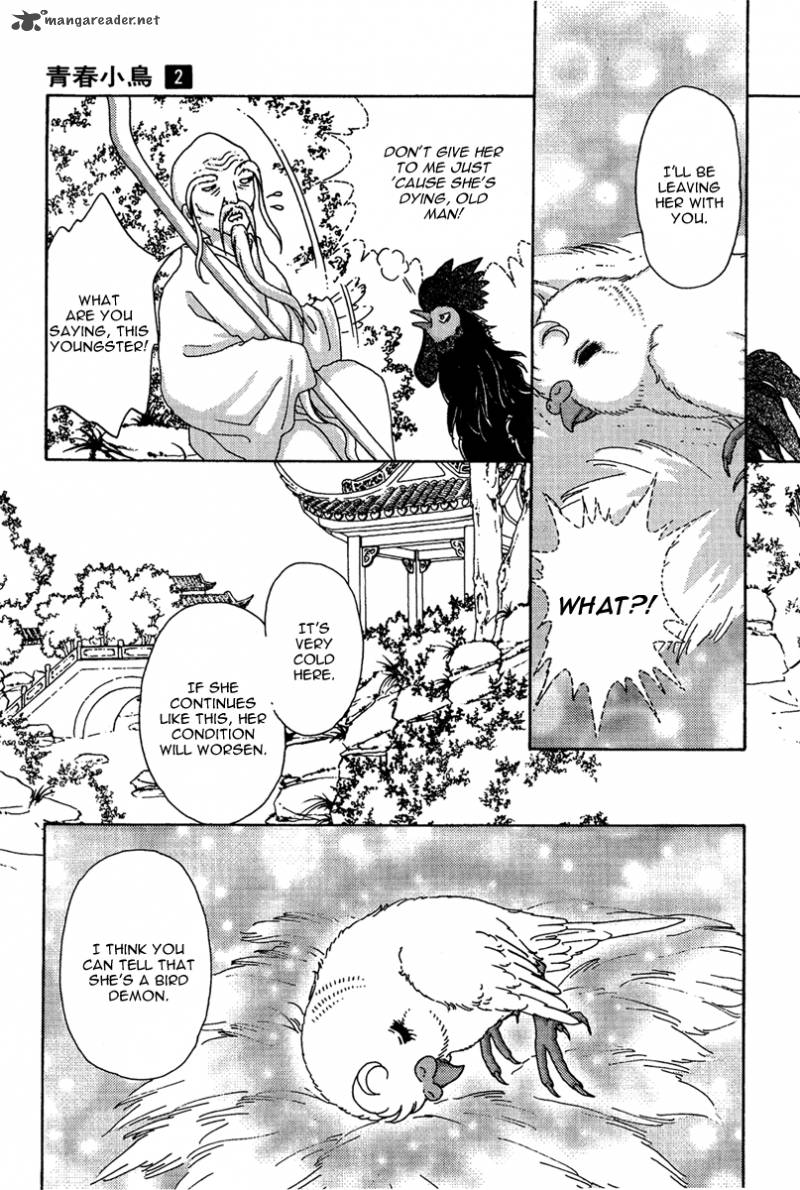 bird_of_youth_6_7