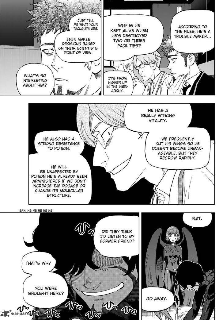birdmen_40_11