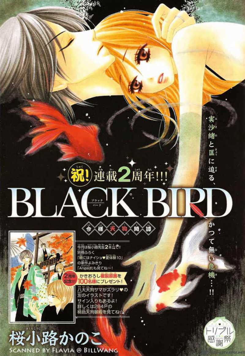 black_bird_24_1