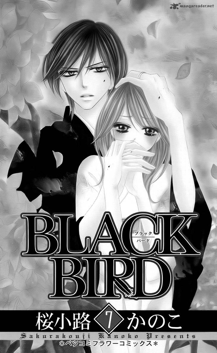 black_bird_26_3