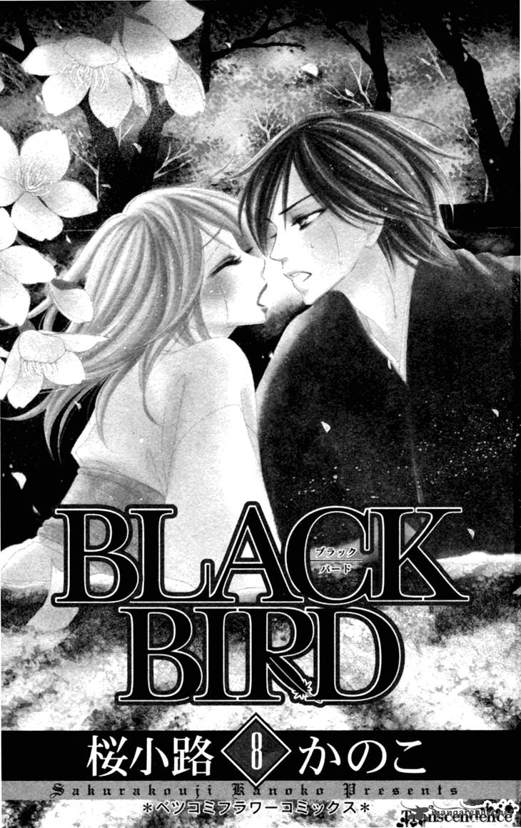black_bird_29_4