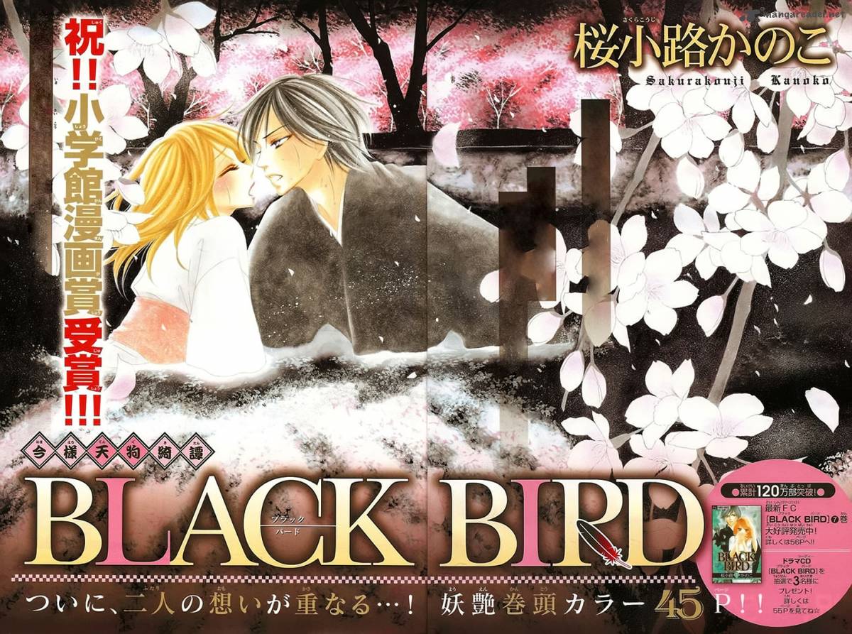 black_bird_32_3