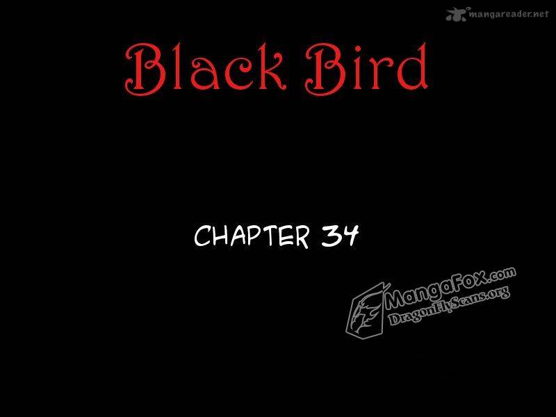 black_bird_34_2