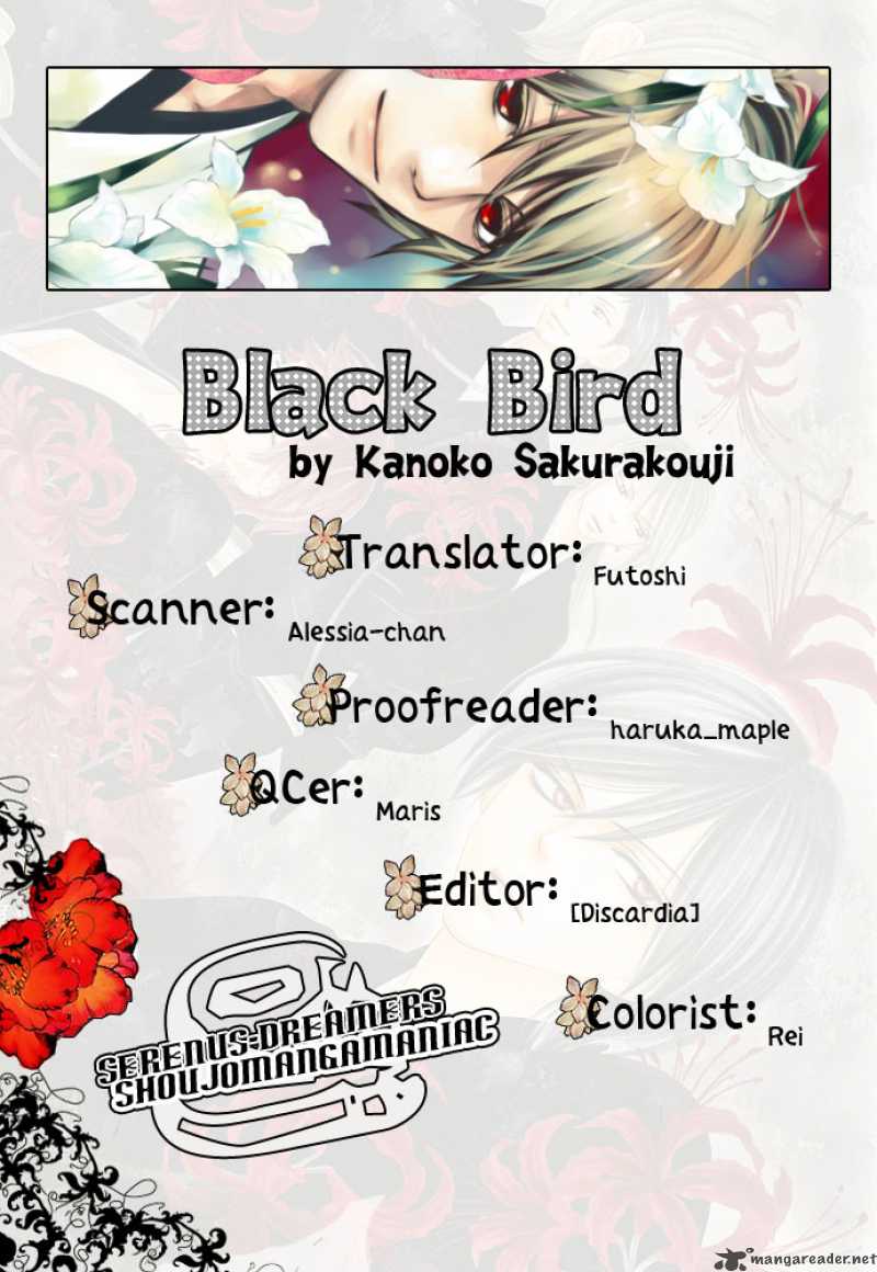 black_bird_4_39