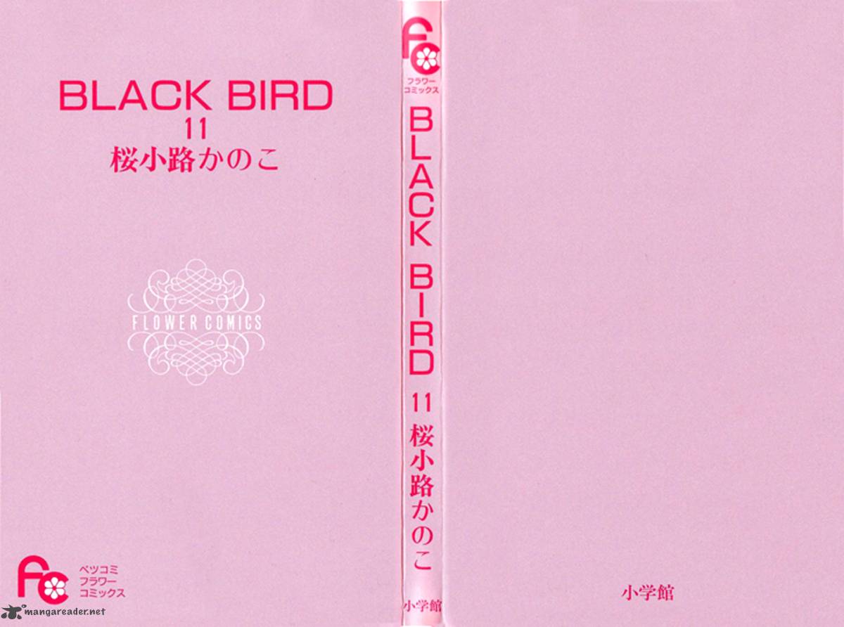black_bird_40_5