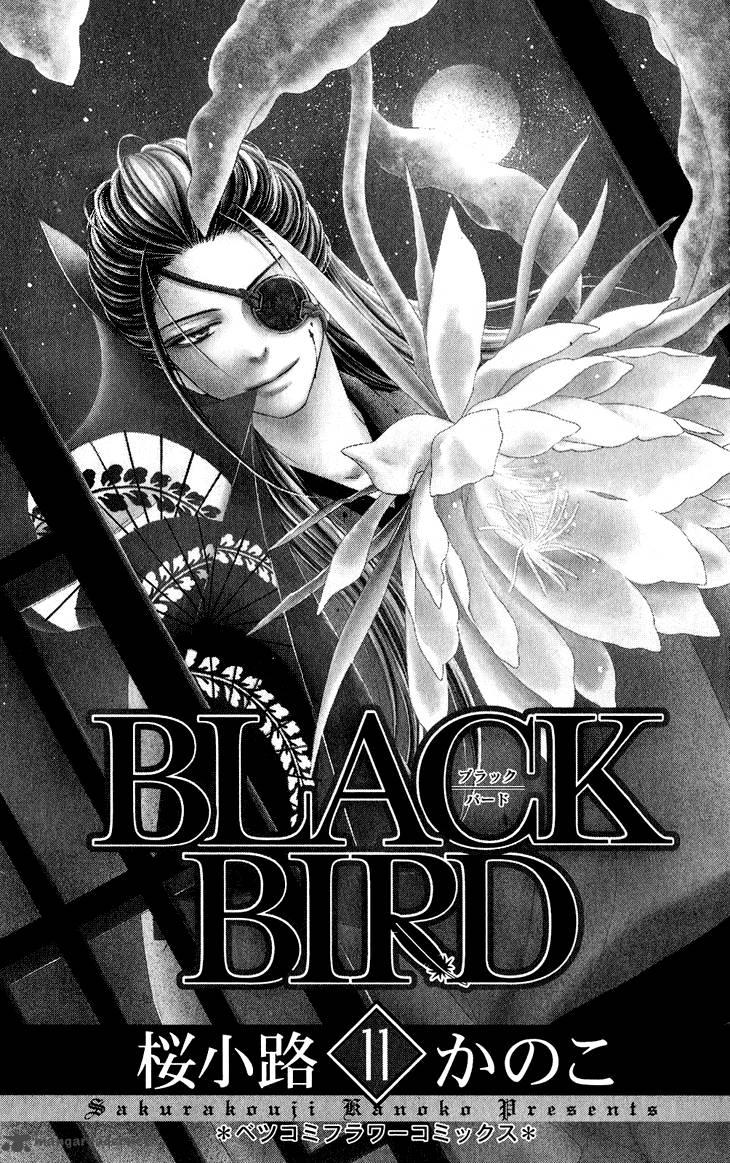 black_bird_40_6