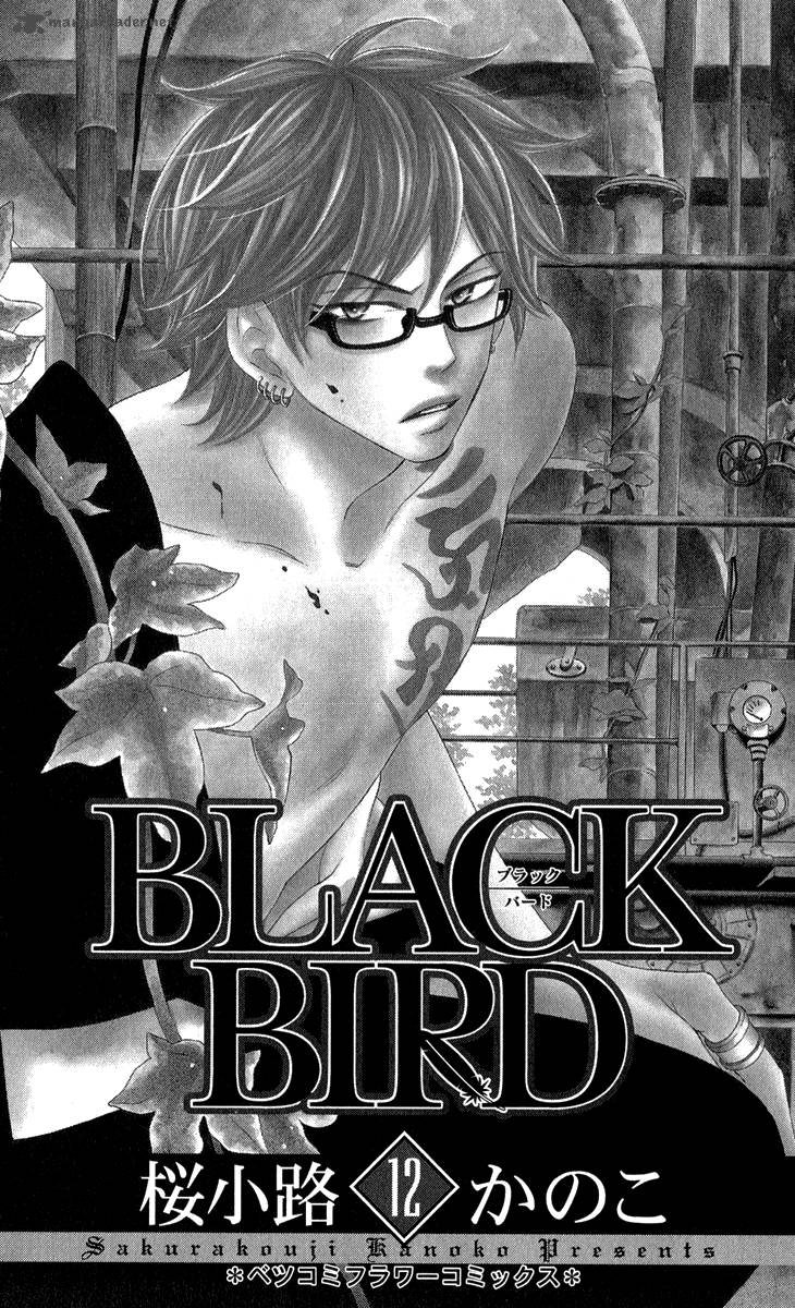 black_bird_44_4