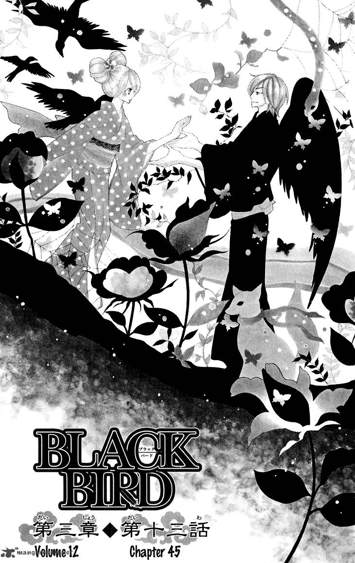 black_bird_45_2