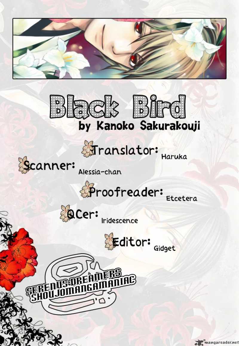 black_bird_5_37