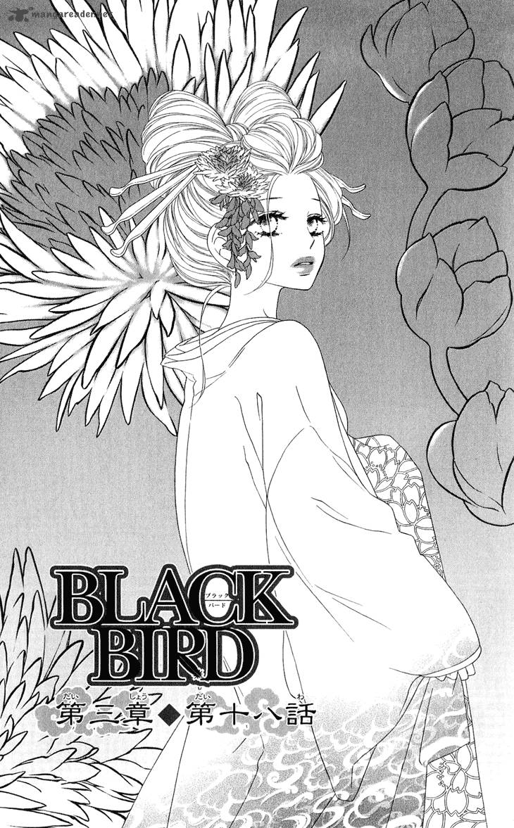 black_bird_50_2