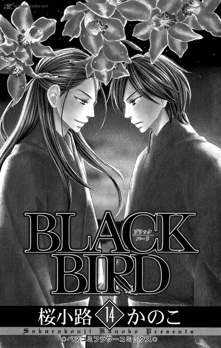 black_bird_52_3