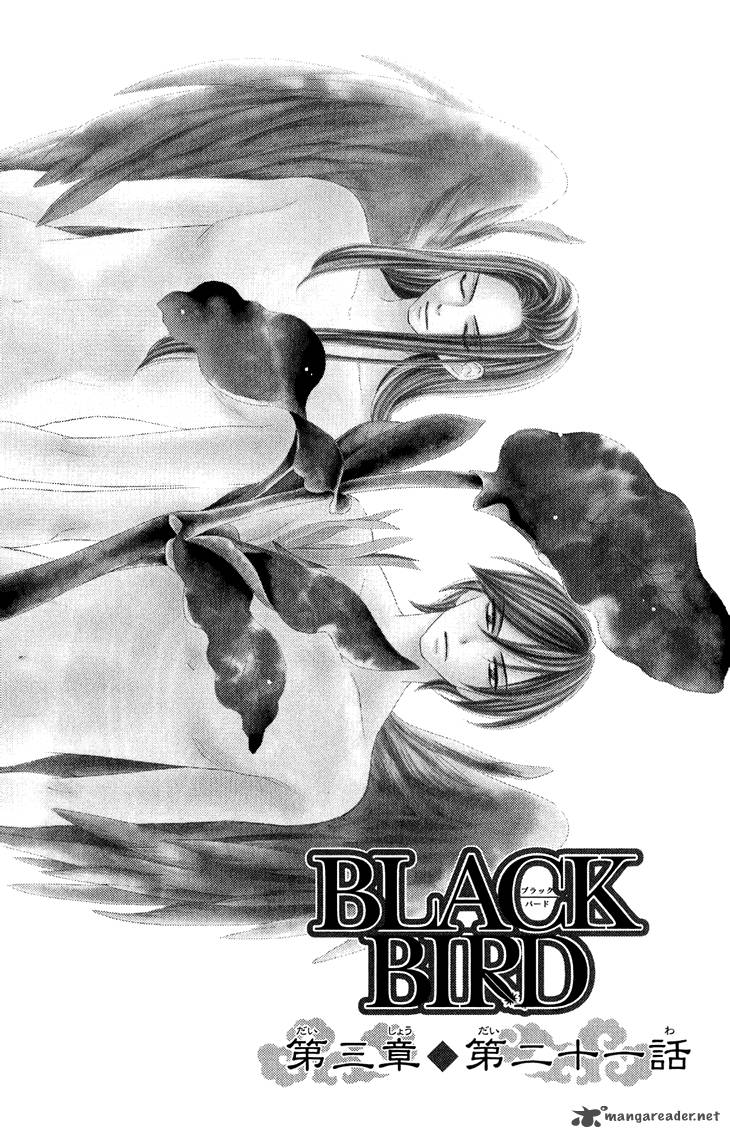 black_bird_53_2