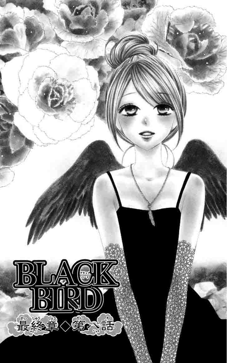 black_bird_61_1