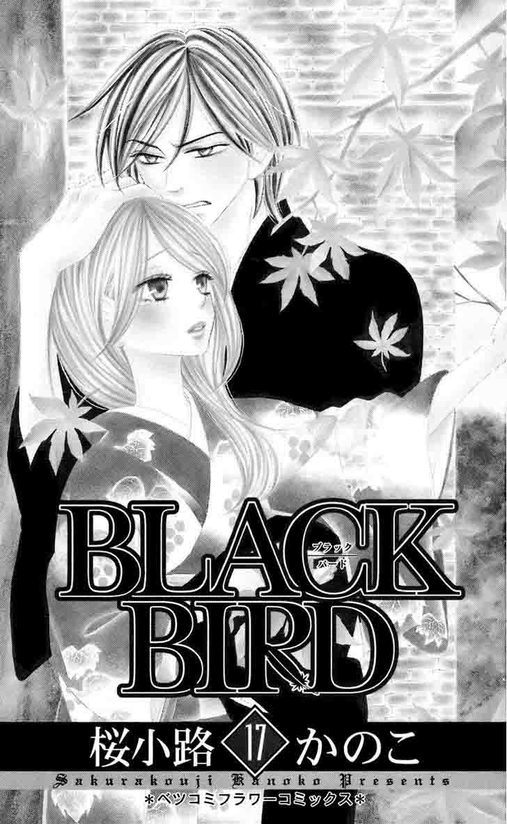 black_bird_65_4