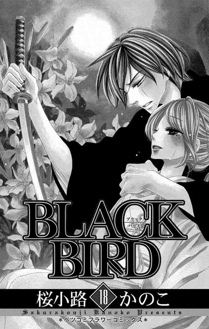 black_bird_70_2