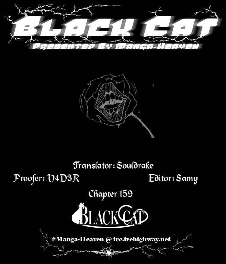 black_cat_159_21