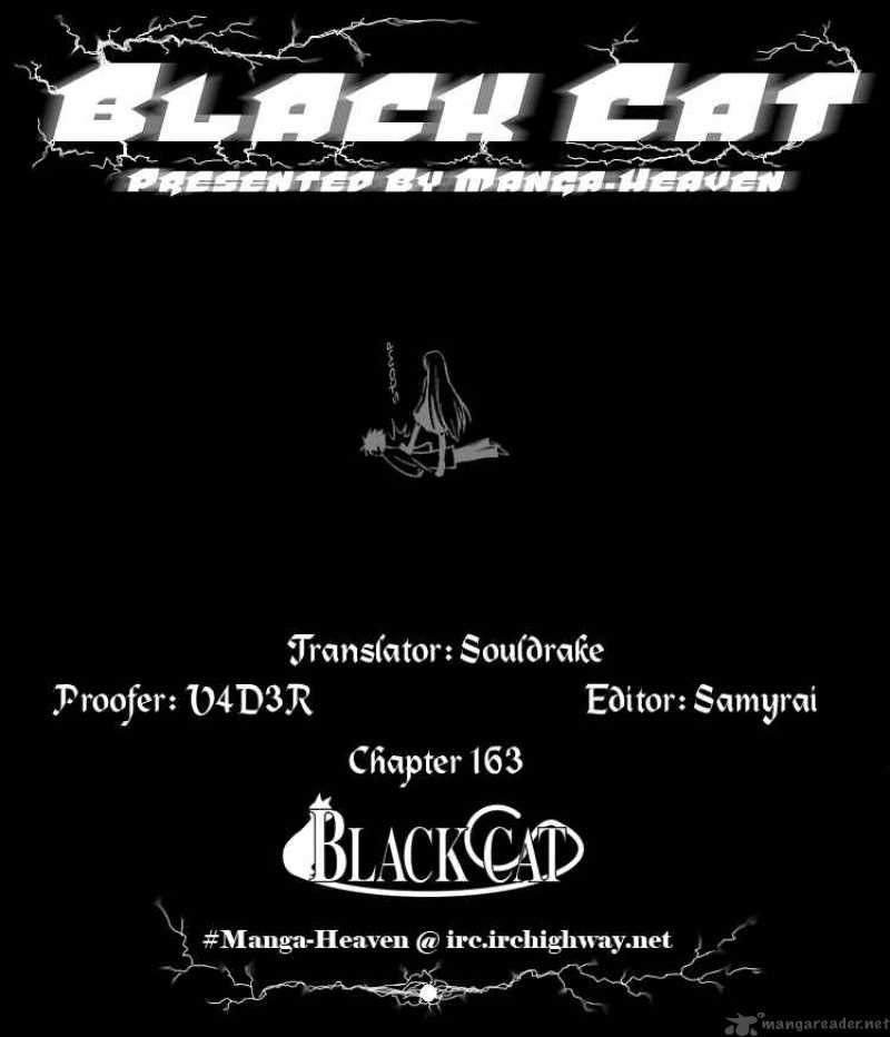 black_cat_163_1