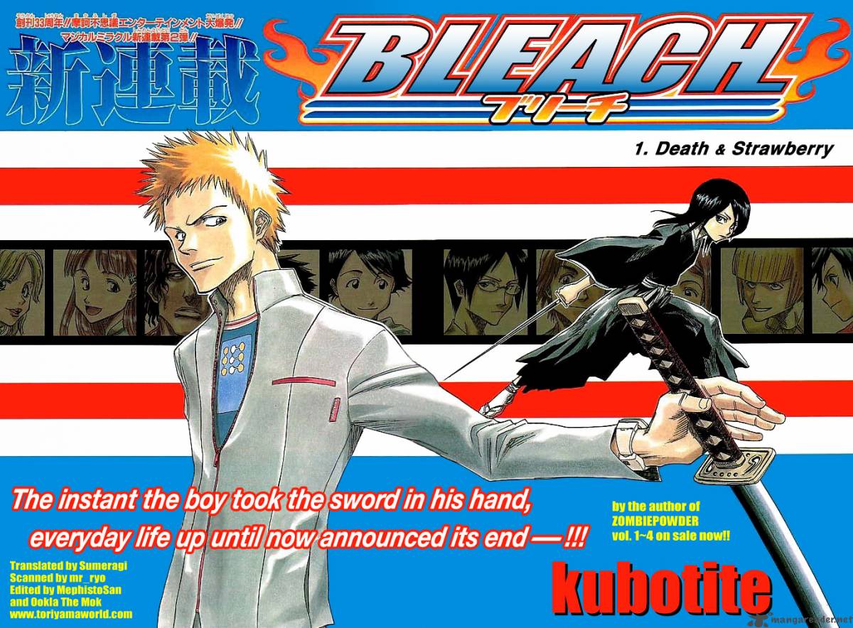 bleach_1_3