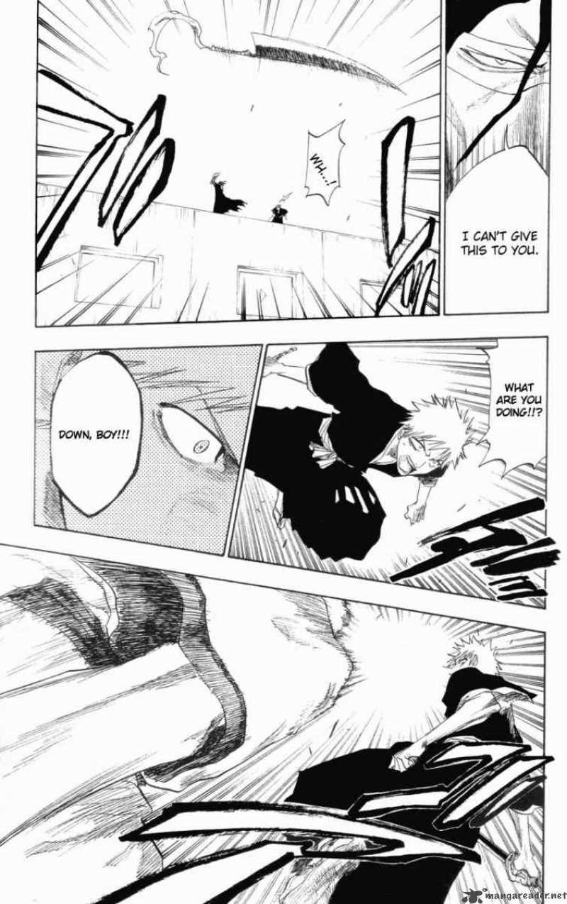 bleach_110_15