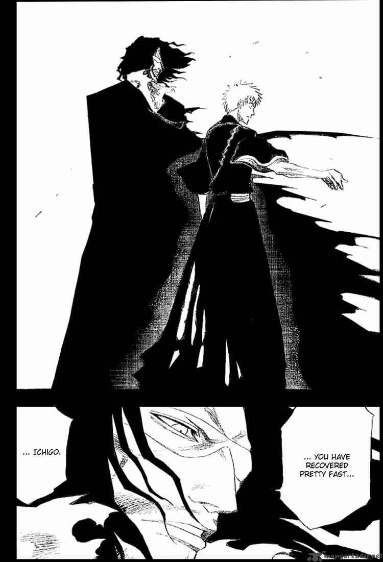 bleach_127_8