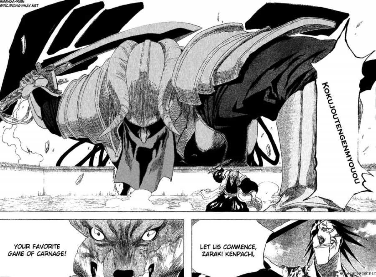 bleach_148_19