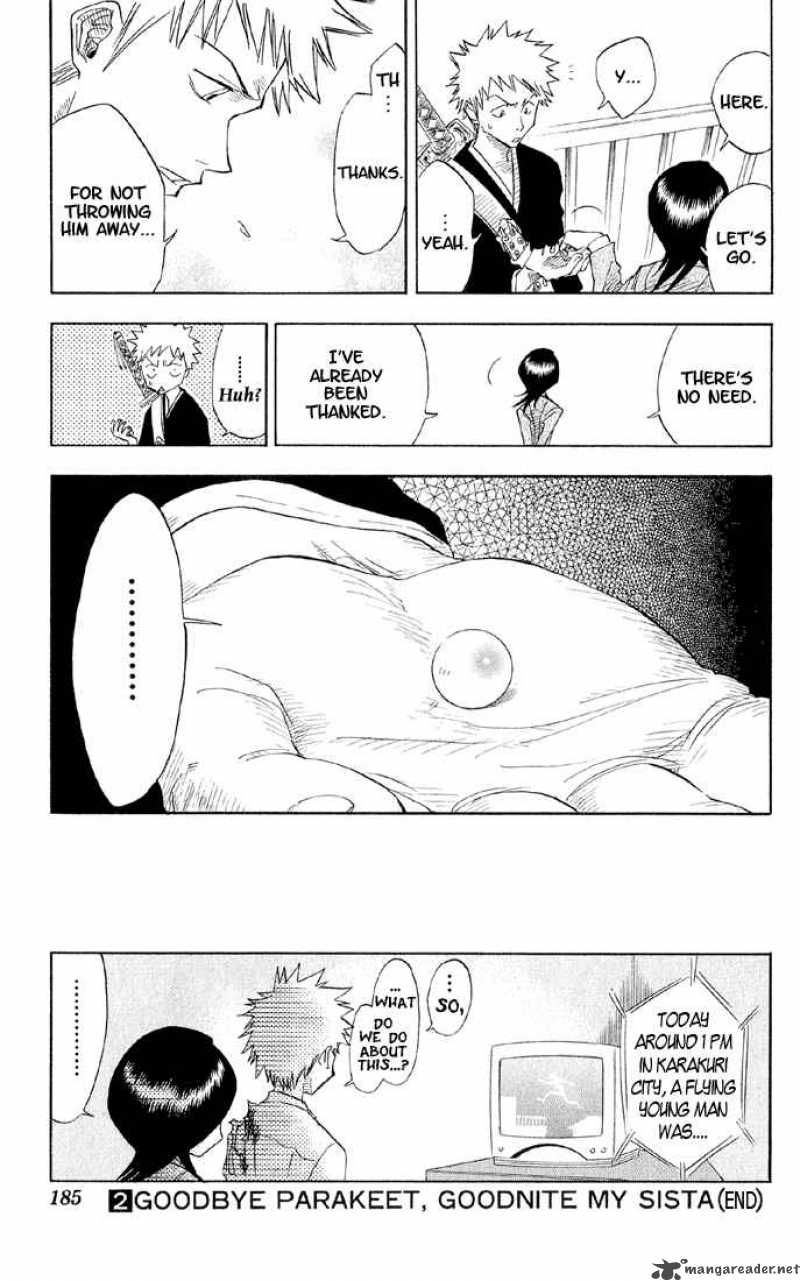 bleach_16_20