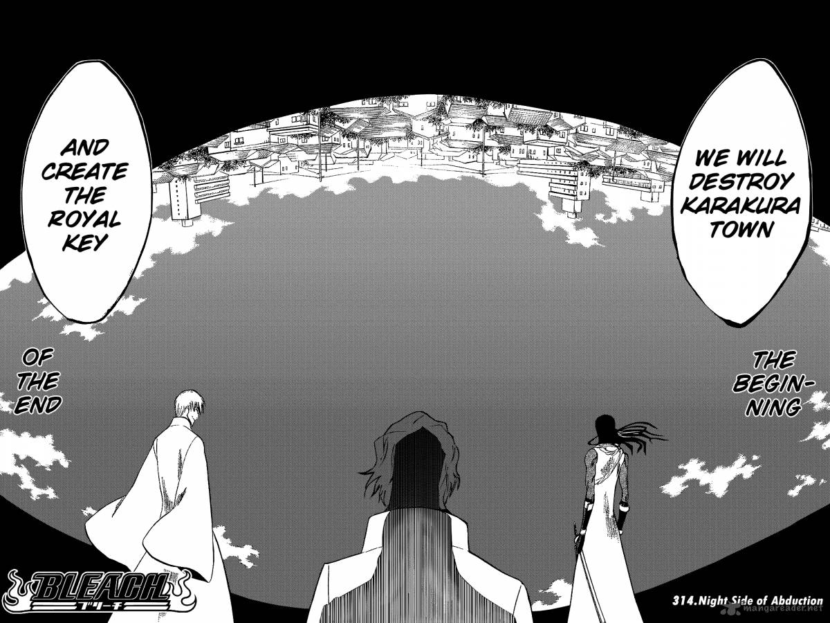 bleach_314_4