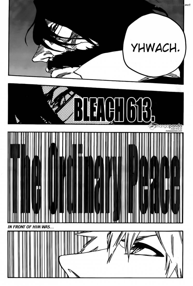 bleach_613_3