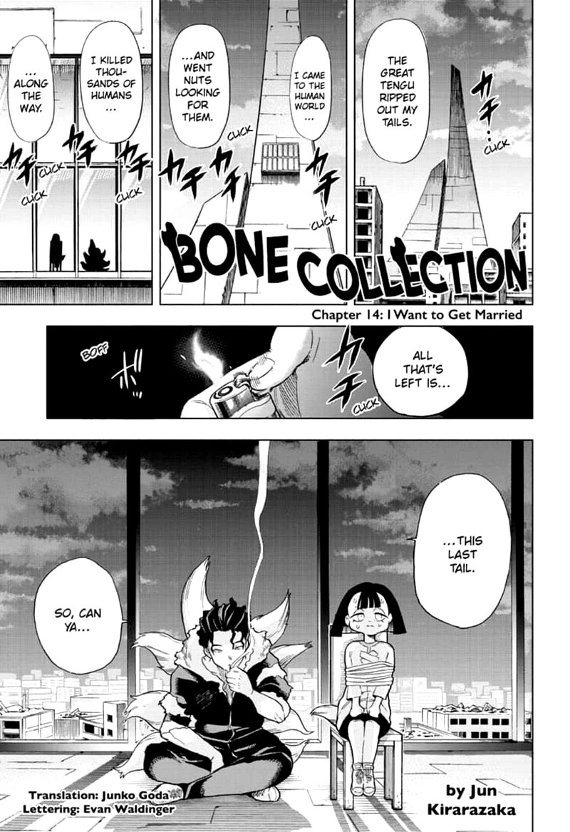 bone_collection_14_1