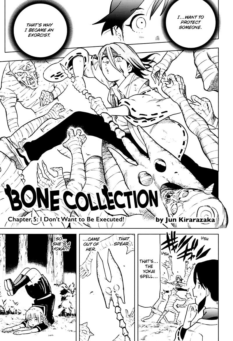 bone_collection_5_1