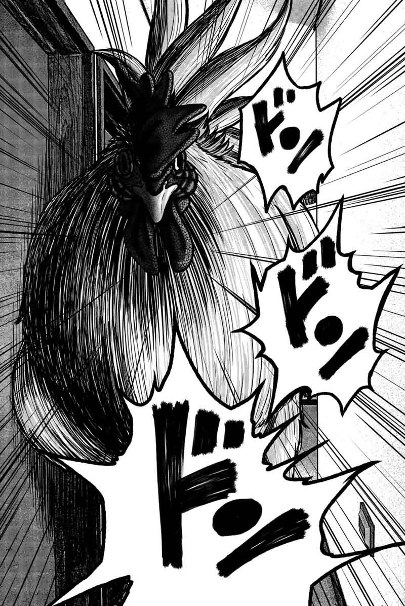 bougyaku_no_kokekko_12_17