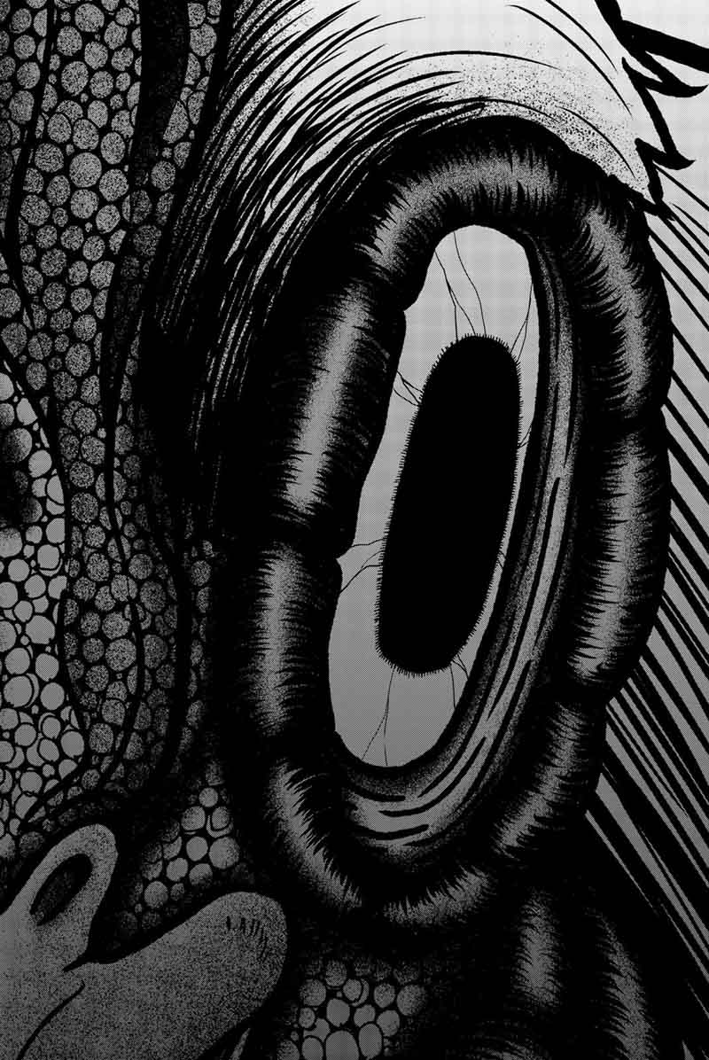 bougyaku_no_kokekko_12_19