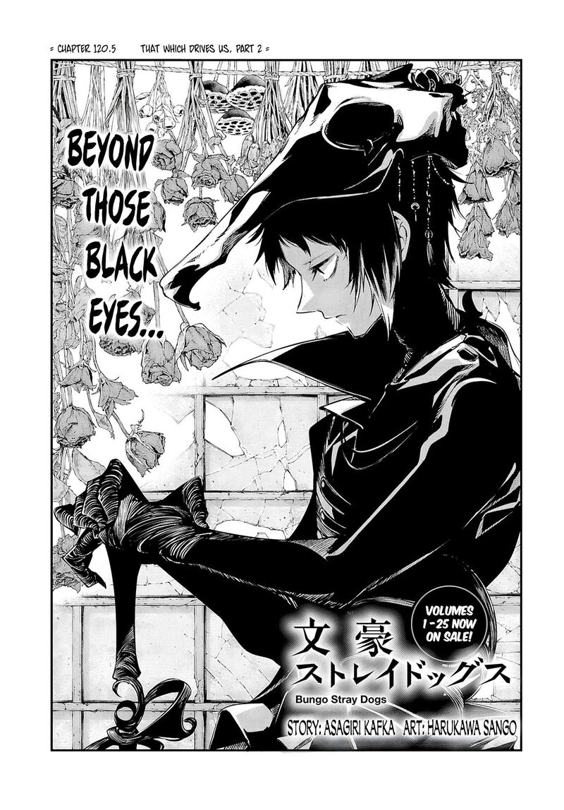 bungou_stray_dogs_120e_2