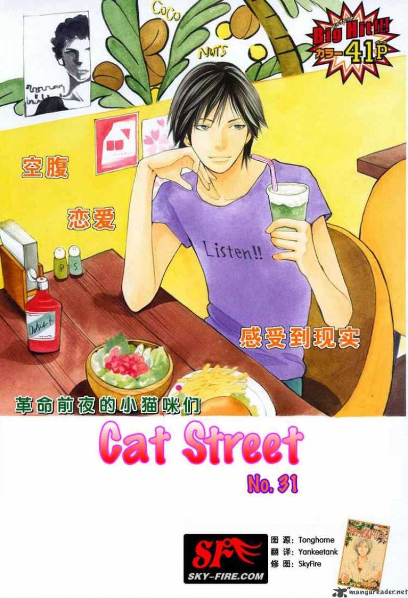 cat_street_31_1