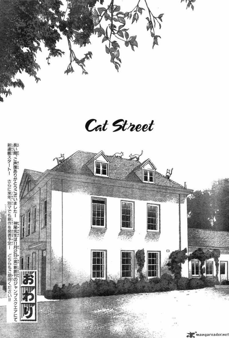 cat_street_35_43