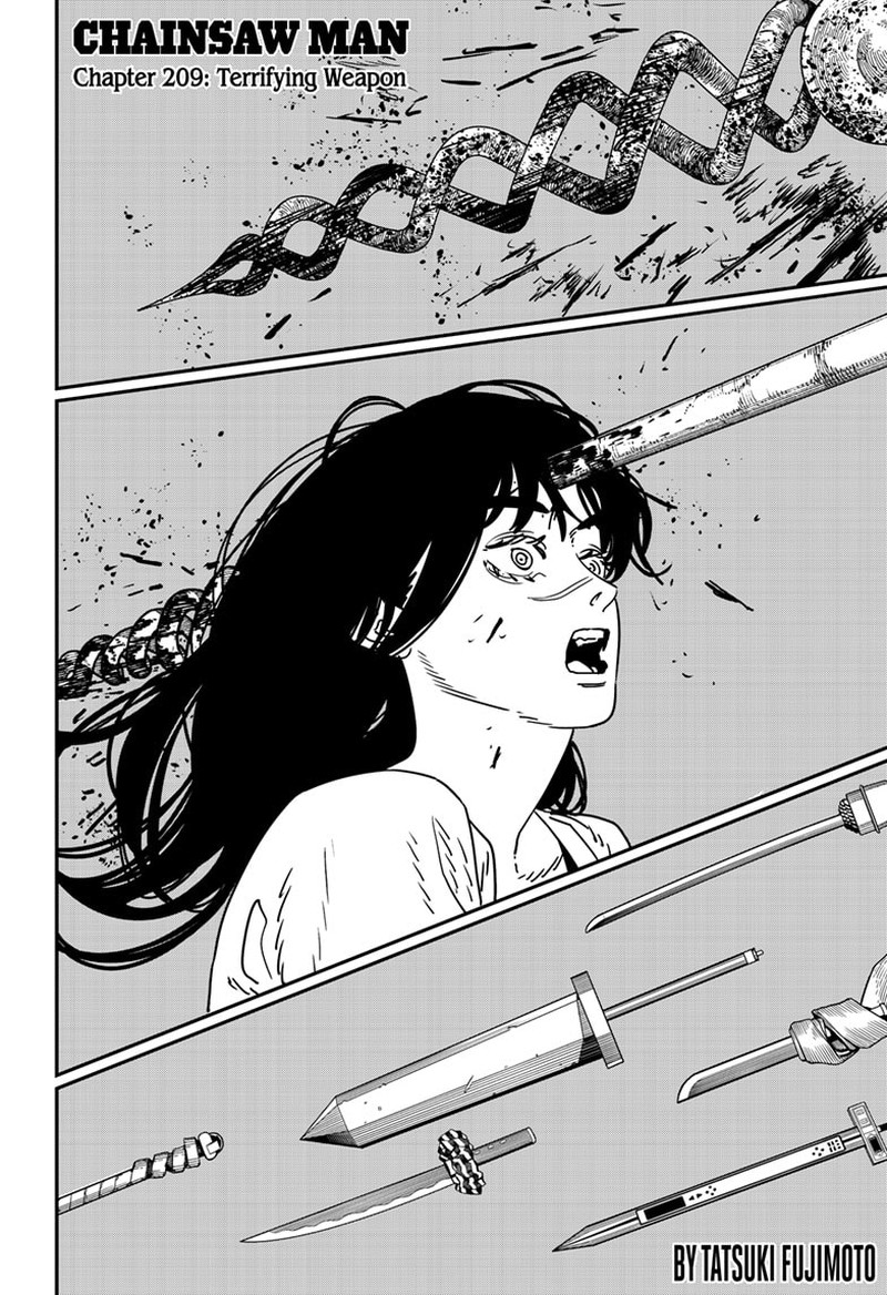 chainsaw_man_209_1