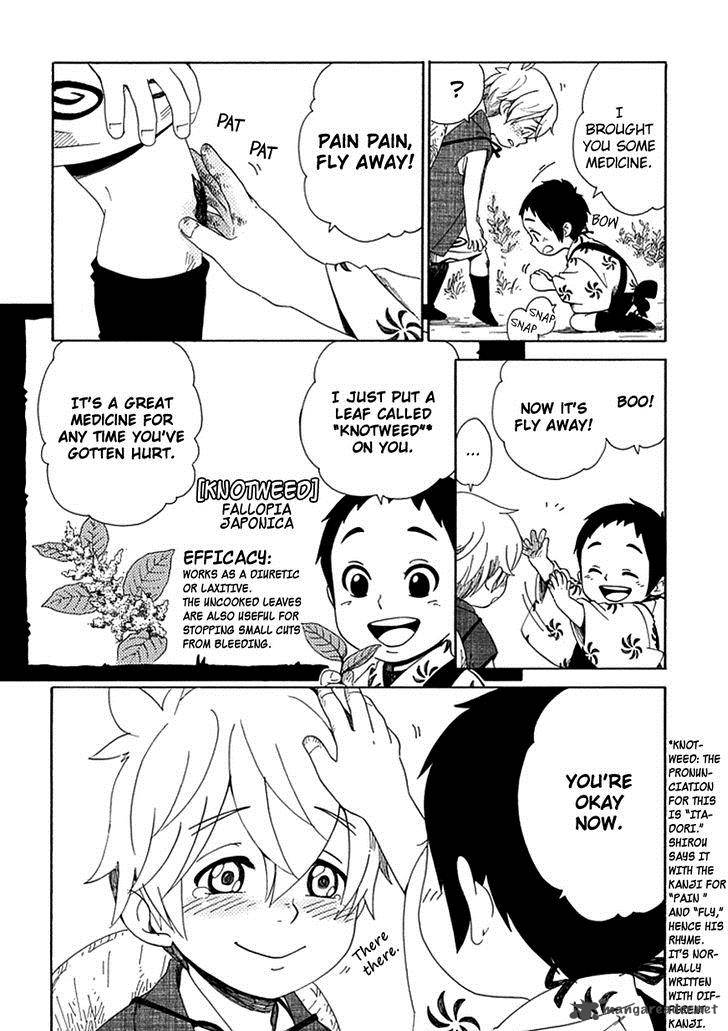 chichikogusa_24_7