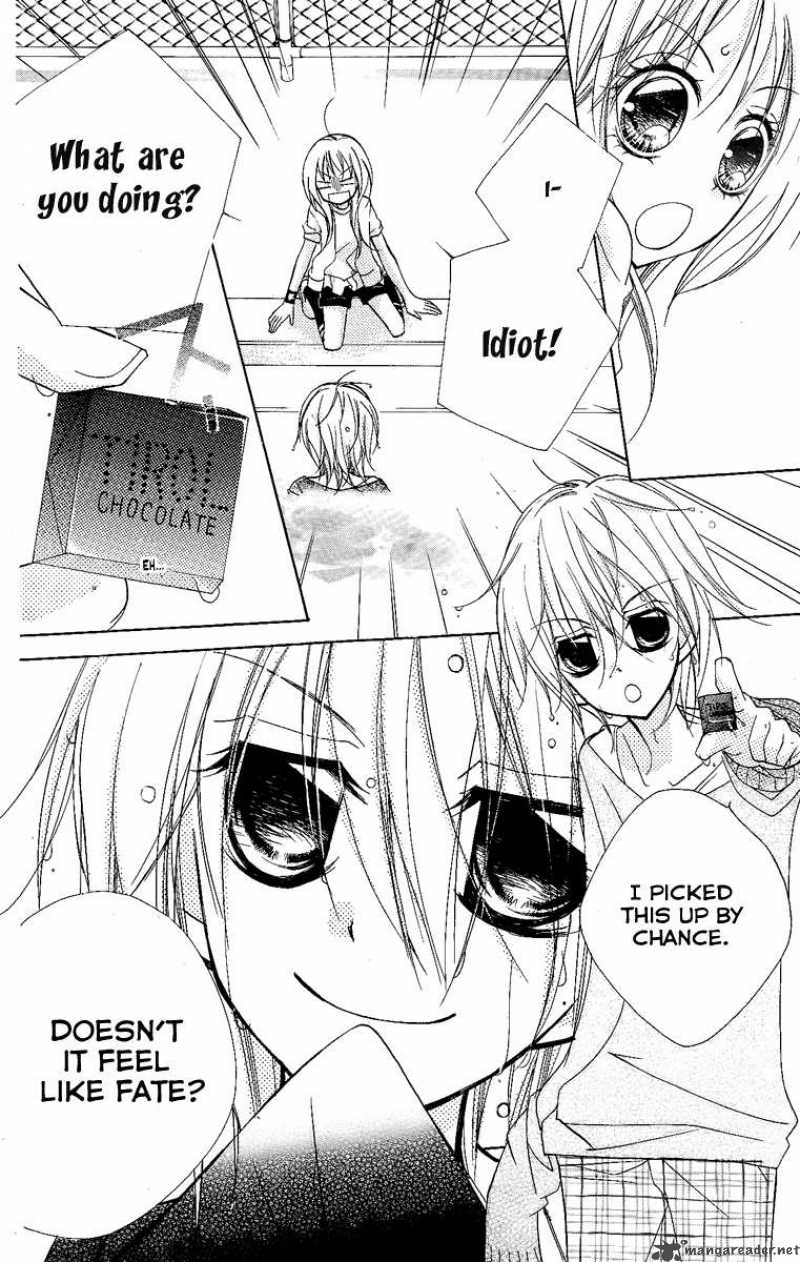 chocolate_1_33